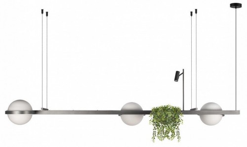 Подвесной светильник Loft IT Jardin 10121/C Dark grey