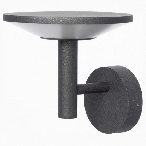 Настенный светильник уличный Citilux Dorn CLU05W