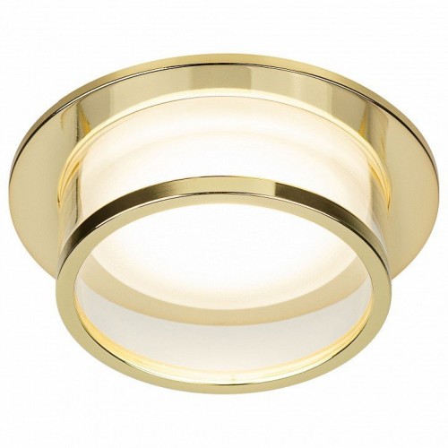 Точечный светильник ЭРА DK99 GD