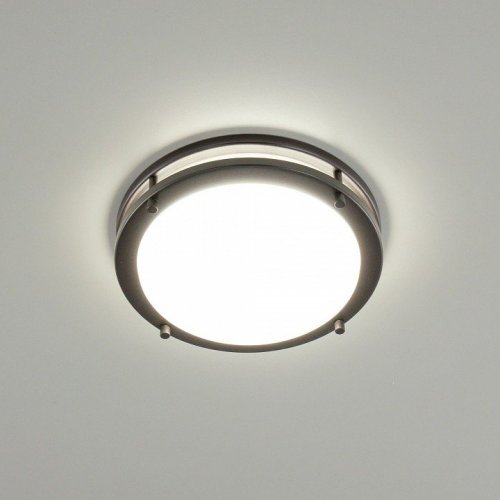 Настенно-потолочный светильник Citilux Бостон CL709205N