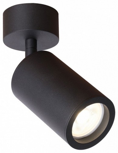 Спот Favourite Angularis 2805-1U Спот Favourite Angularis 2805-1U