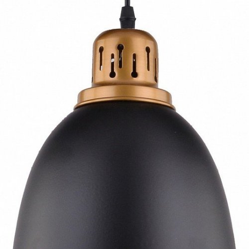 Подвесной светильник Arte Lamp Eurica A4245SP-1BK Подвесной светильник Arte Lamp Eurica A4245SP-1BK
