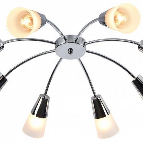 Потолочная люстра Escada Aquilegia 1100/8P Chrome