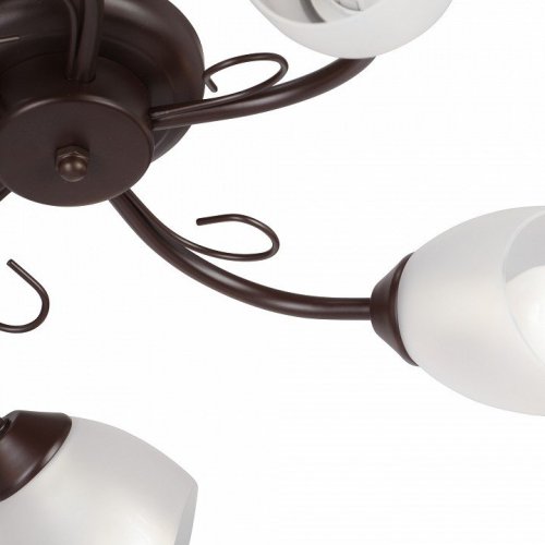 Потолочная люстра Vitaluce V3715/5PL