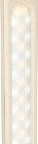 Офисная настольная лампа NLED-504-10W-BG