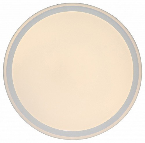 Потолочный светильник Zortes Bella ZRS.1200.09