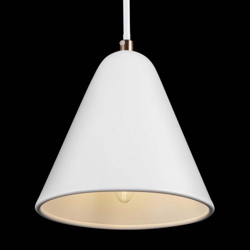 Подвесной светильник Falke Market FR8001PL-01WG