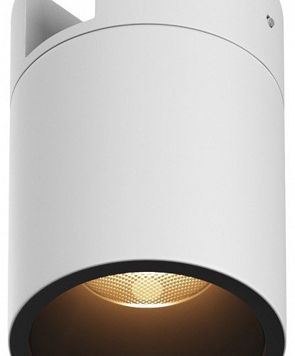 Накладной светильник Maytoni Outdoor Alfa O-TR01-2-S-16WW3K