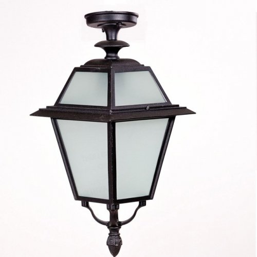 Потолочный светильник уличный Oasis Light FARO-FROST L 91105fLA Bl