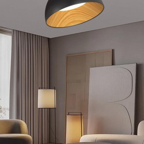 Потолочный светильник  F0724-10 Потолочный светильник  F0724-10