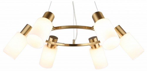 Подвесная люстра Omnilux Ales OML-69103-06