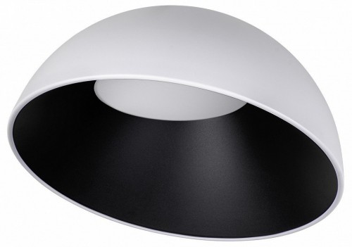 Потолочный светильник Loft IT Egg 10197/500 WB