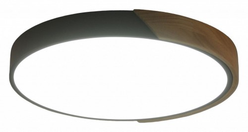 Потолочный светильник Zortes Alberro ZRS.01280.24