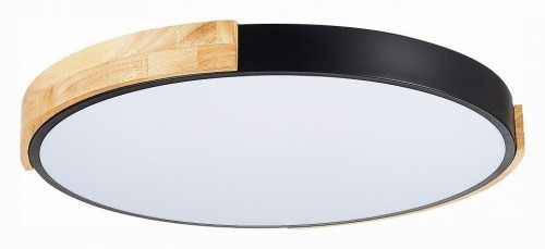 Потолочный светильник Evoluce Delia SLE201342-01