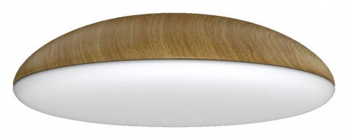 Потолочный светильник Mantra Kazz 8136 Потолочный светильник Mantra Kazz 8136