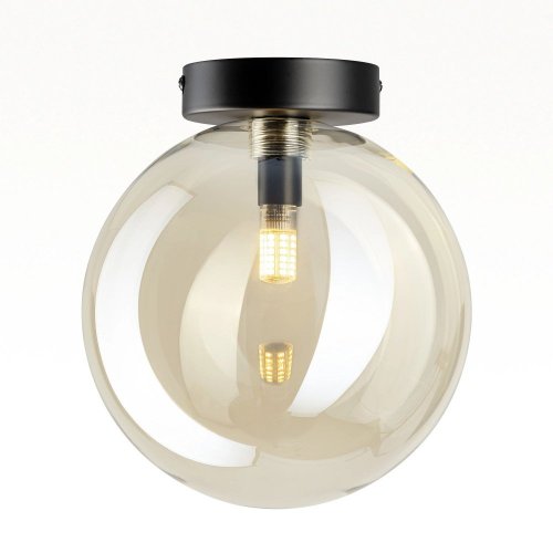 Настенно-потолочный светильник Citilux Orton CL202512