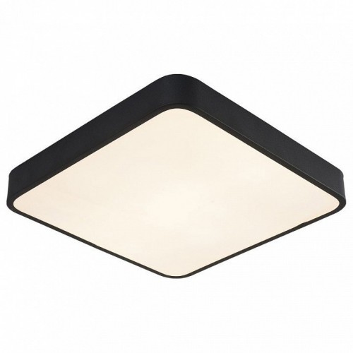 Потолочный светильник Arte Lamp A2663PL-1BK