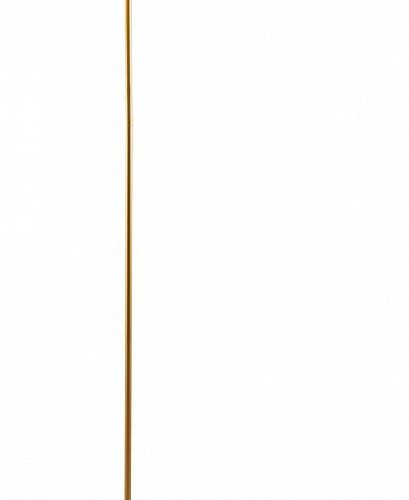 Торшер Moderli Omaha V11592-1F