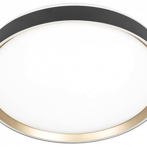 Накладной светильник Citilux BOSS CL751451G