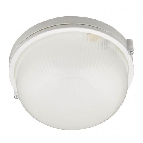 Потолочный светильник (UL-00006771) Uniel UWL-R01 100W/E27 IP54 White Потолочный светильник (UL-00006771) Uniel UWL-R01 100W/E27 IP54 White