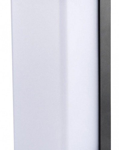 Накладной светильник Citilux DOMUS CLU0802