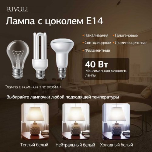 Настольная лампа Rivoli Muriel 7550-502 Б0070137 Настольная лампа Rivoli Muriel 7550-502 Б0070137