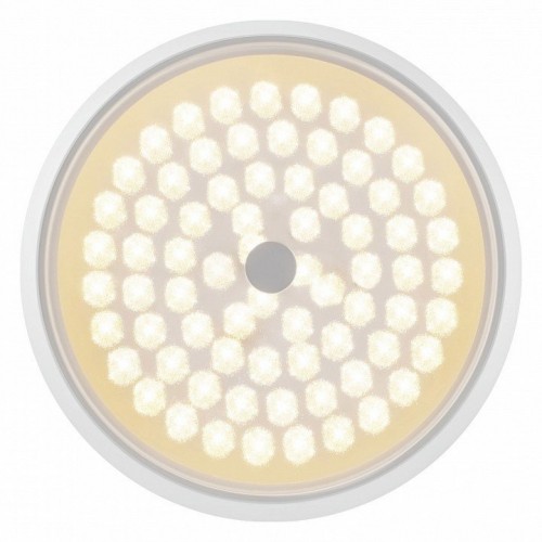 Накладной светильник Freya LED FR10012CL-L24W