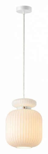 Подвесной светильник Odeon Light Jugi 5042/1C