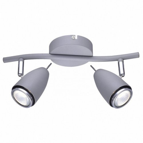 Настенно-потолочный светильник Arte Lamp Regista A1966AP-2GY
