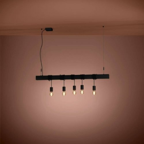 Подвесной светильник Eglo Townshend-B 39937 Подвесной светильник Eglo Townshend-B 39937