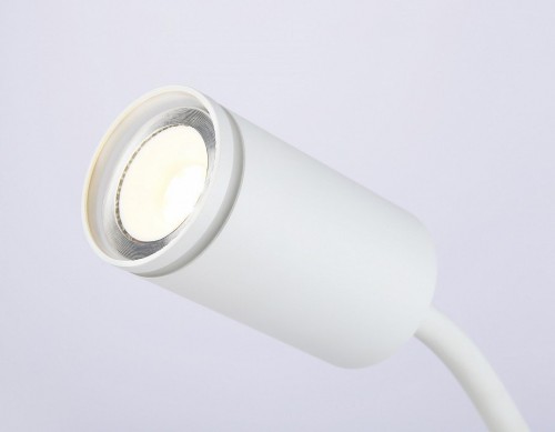 Настольная лампа офисная Ambrella light FW FW2467