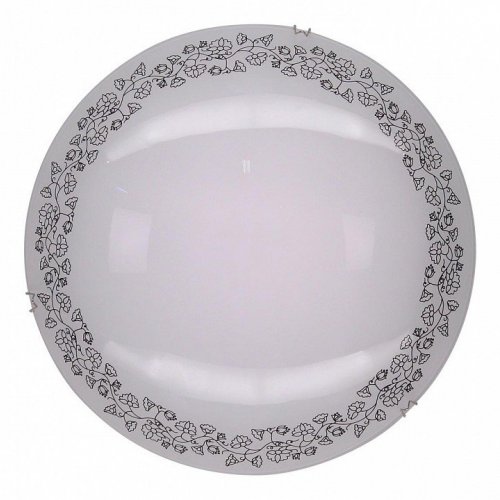 Настенный светильник Citilux Вьюнок CL917010