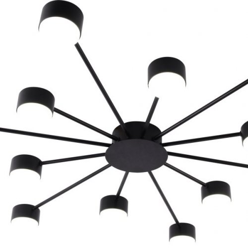 Потолочная люстра Leona 3184-312