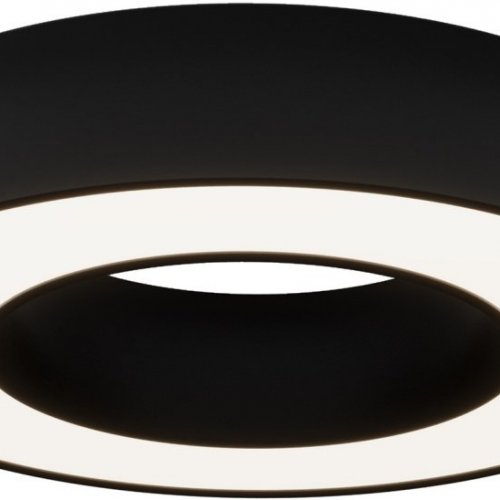 Потолочный светильник Maytoni Lua C093CL-24W4K-B Потолочный светильник Maytoni Lua C093CL-24W4K-B