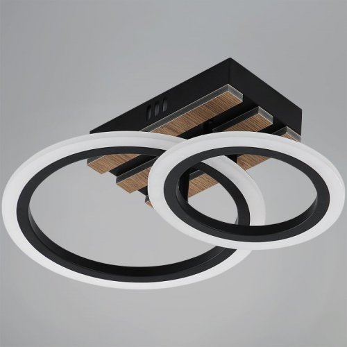 Потолочная люстра 00330-0.3-1+1 Потолочная люстра 00330-0.3-1+1