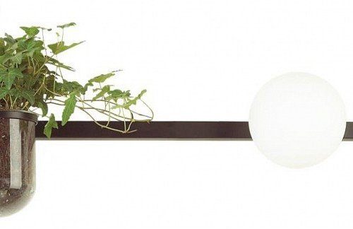 Настенный светильник Odeon Light Flower 4681/2W Настенный светильник Odeon Light Flower 4681/2W