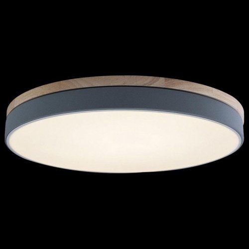 Потолочный светильник Loft IT Axel 10001/36 Grey