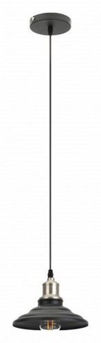 Подвесной светильник ЭРА Loft PL4 BK/BN