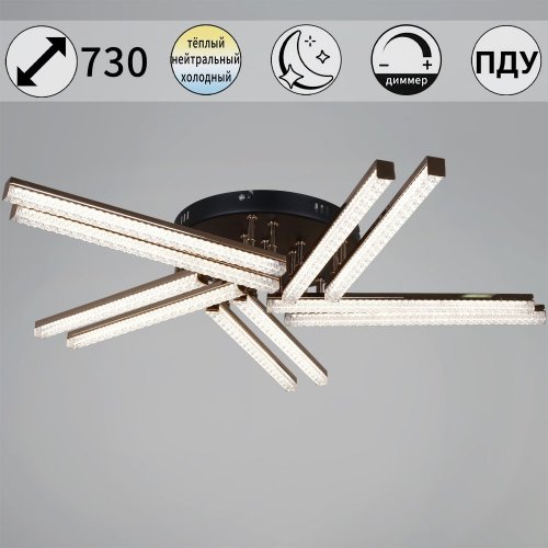 Светильник потолочный Reluce 17090-0.3-10 BK+FG