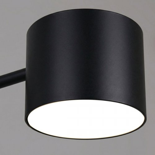 Потолочная люстра Reluce 47206-0.3-06BK