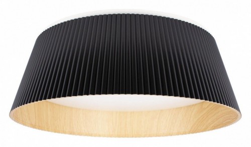 Потолочный светильник Loft IT Evans 10224 Black