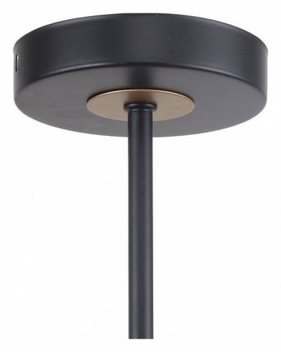 Потолочная люстра F-Promo Rigor 2844-5P