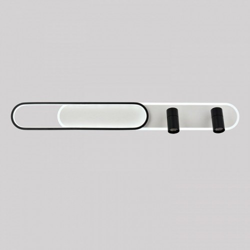 Настенно-потолочный светильник Favourite Planar 4076-2C