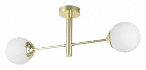 Светильник на штанге Lampit FINO TP 2007-2 GD