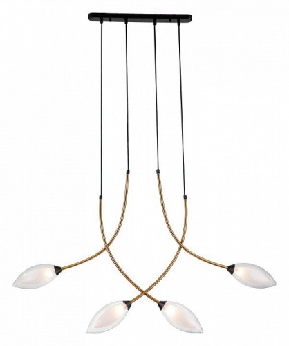 Подвесной светильник Indigo Fiore 13001/4P Black