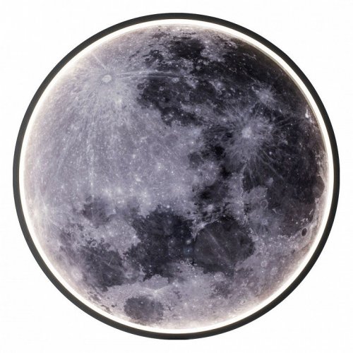 Настенно-потолочный светодиодный светильник Escada Planet 10226/SG LED Moon