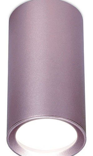 Потолочный светильник Ambrella light Techno Spot TN220 Потолочный светильник Ambrella light Techno Spot TN220