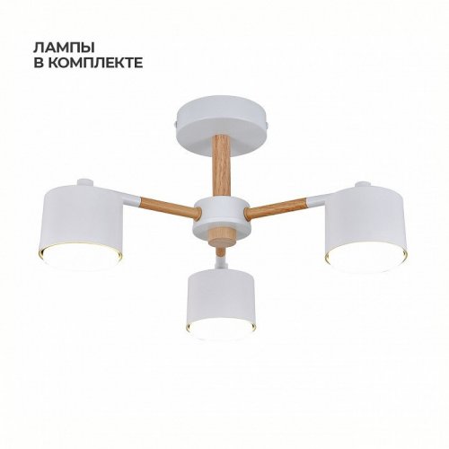 Люстра на штанге Escada  ES0000022L