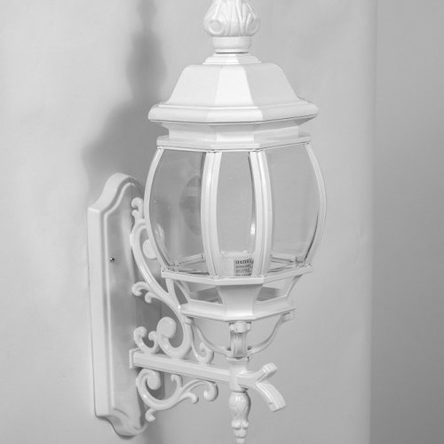 Настенный фонарь уличный Oasis_Light AMERICA L 83401L/06 W