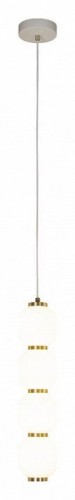 Подвесной светодиодный светильник Loft IT Pearls 10205/B